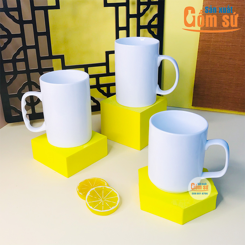cung-cap-ly-su-gia-re-06